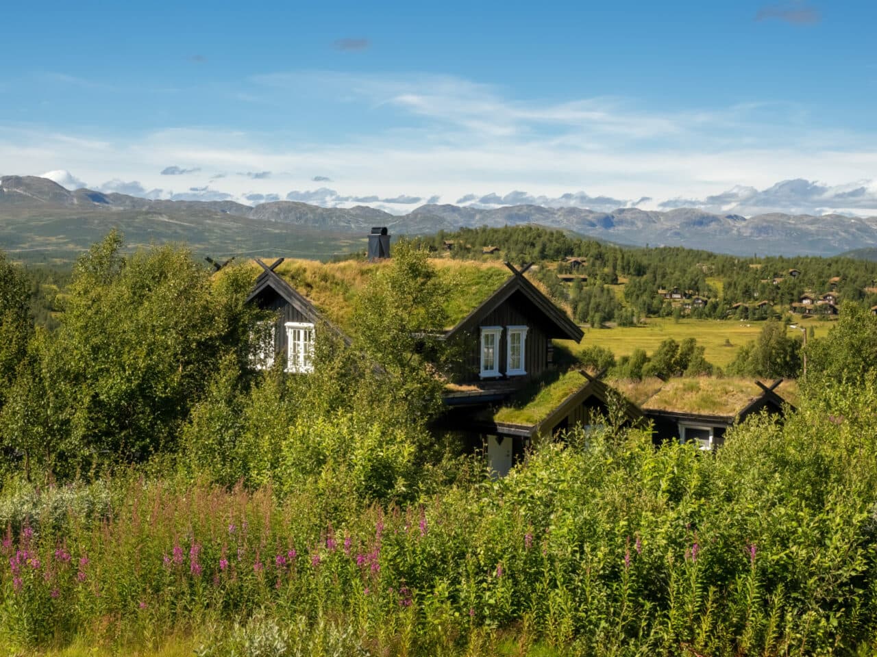 Beautiful historical farmhouses and granaries dotting the countr